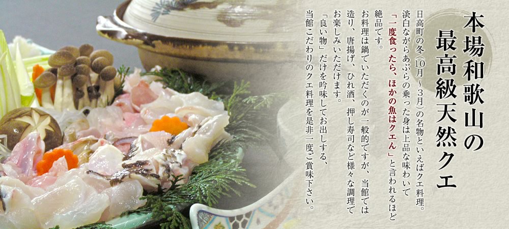 本場和歌山の最高級天然クエ。日高町の冬（10月〜3月）の名物といえばクエ料理。淡白ながらあぶらの乗った身は上品な味わいで「一度食ったら、ほかの魚はクエん」と言われるほど絶品です。お料理は鍋でいただくのが一般的ですが、当館では造り、唐揚げ、ひれ酒、押し寿司など様々な調理でお楽しみいただけます。「良い物」だけを吟味してお出しする、当館こだわりのクエ料理を是非一度ご賞味下さい。